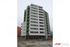 ba_raca_001.jpg