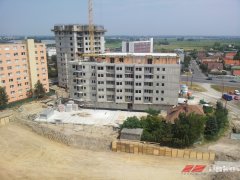 ba_raca_007.jpg