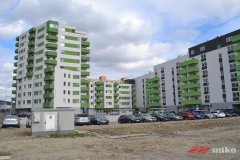 ba_raca_009.jpg