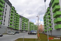 ba_raca_013.jpg