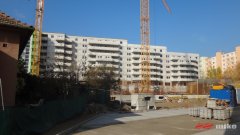 ba_raca_025.jpg