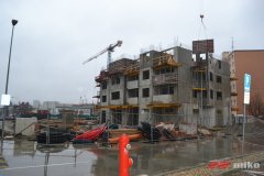 BA_SO115_0012.jpg