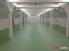 PP_ZS_016.jpg
