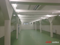 PP_ZS_020.jpg