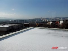 ba-rd_002.jpg