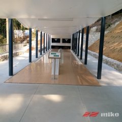 tt_zaba_040.jpg