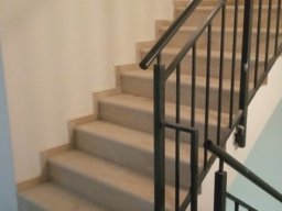 ba_snp5_000img_20180110_122158